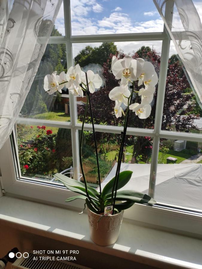 Blumen Apartment Hamburg Dış mekan fotoğraf